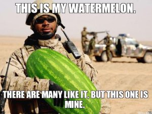 this-is-my-watermelon-there-are-