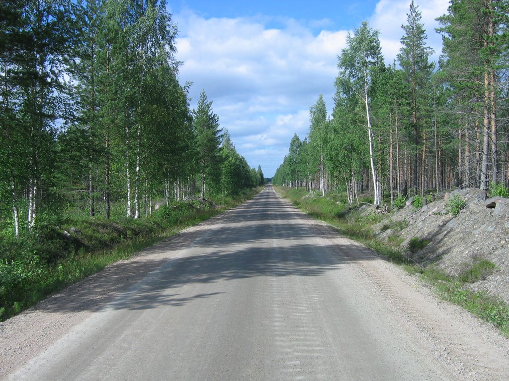 road (3).jpg