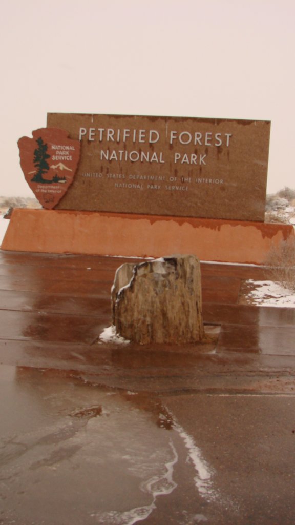 Arizona - Petrified Forest 0010.