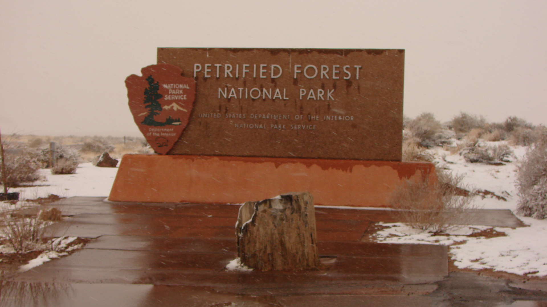 Arizona - Petrified Forest 0001.