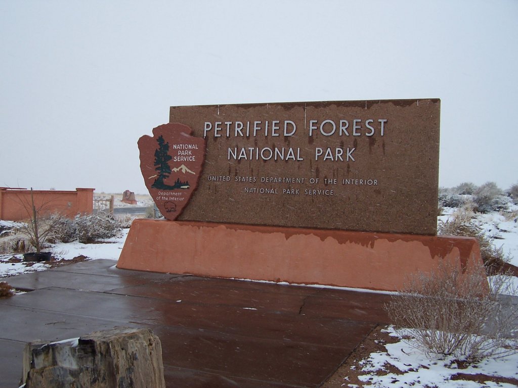 Arizona - Petrified Forest 0003.