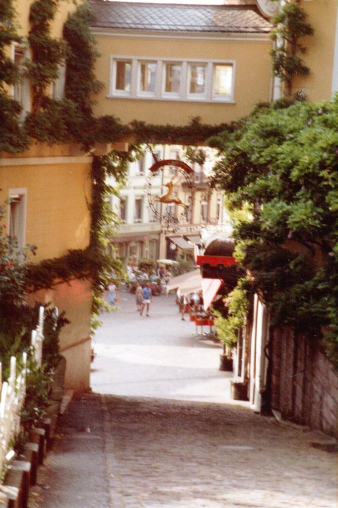 Heidelberg 1983 (5).JPG