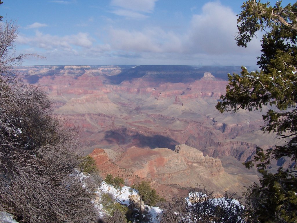 Arizona - Grand Canyon 0121.jpg