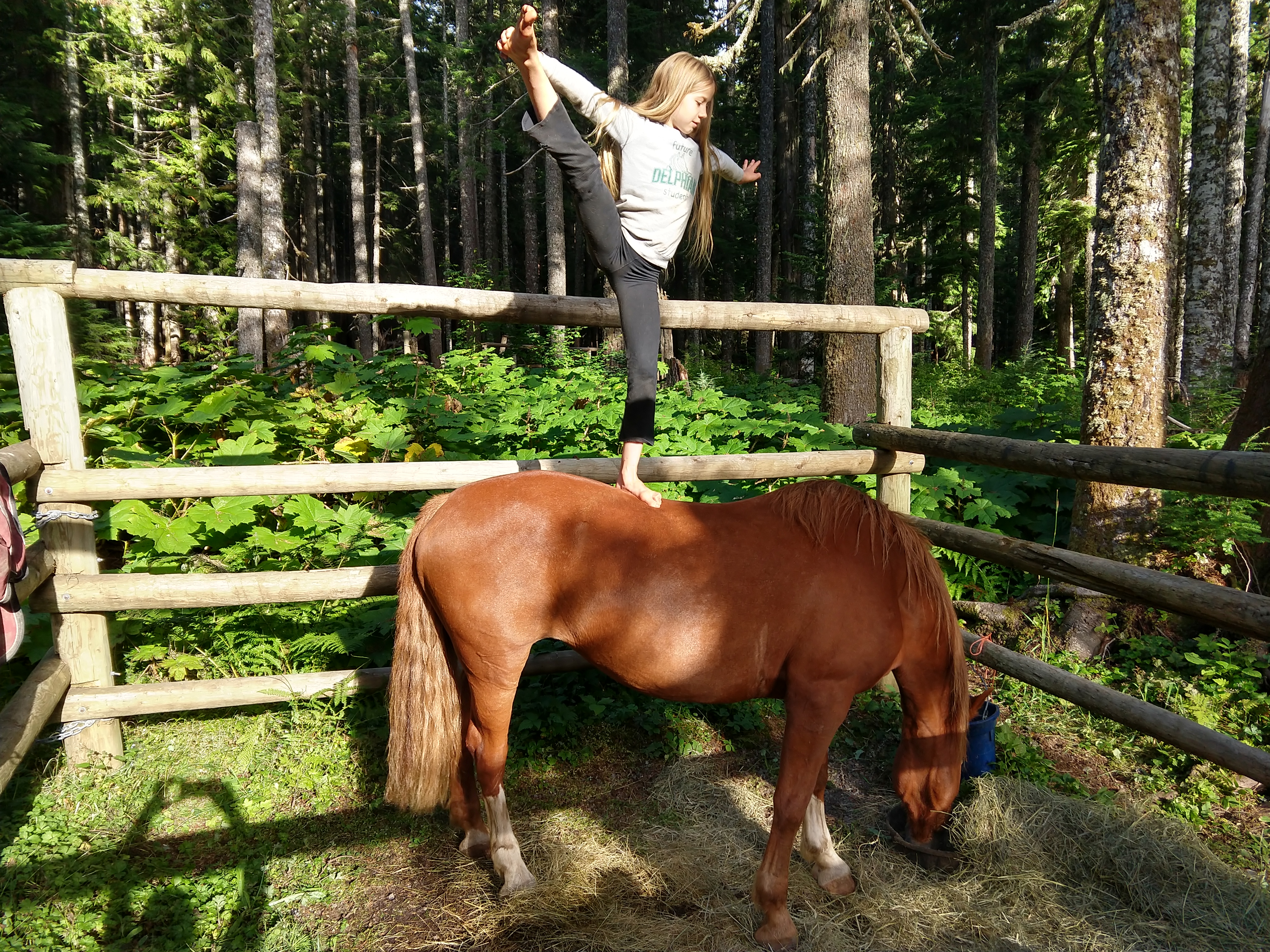 balancing-on-horseback_48741275216_o.jpg