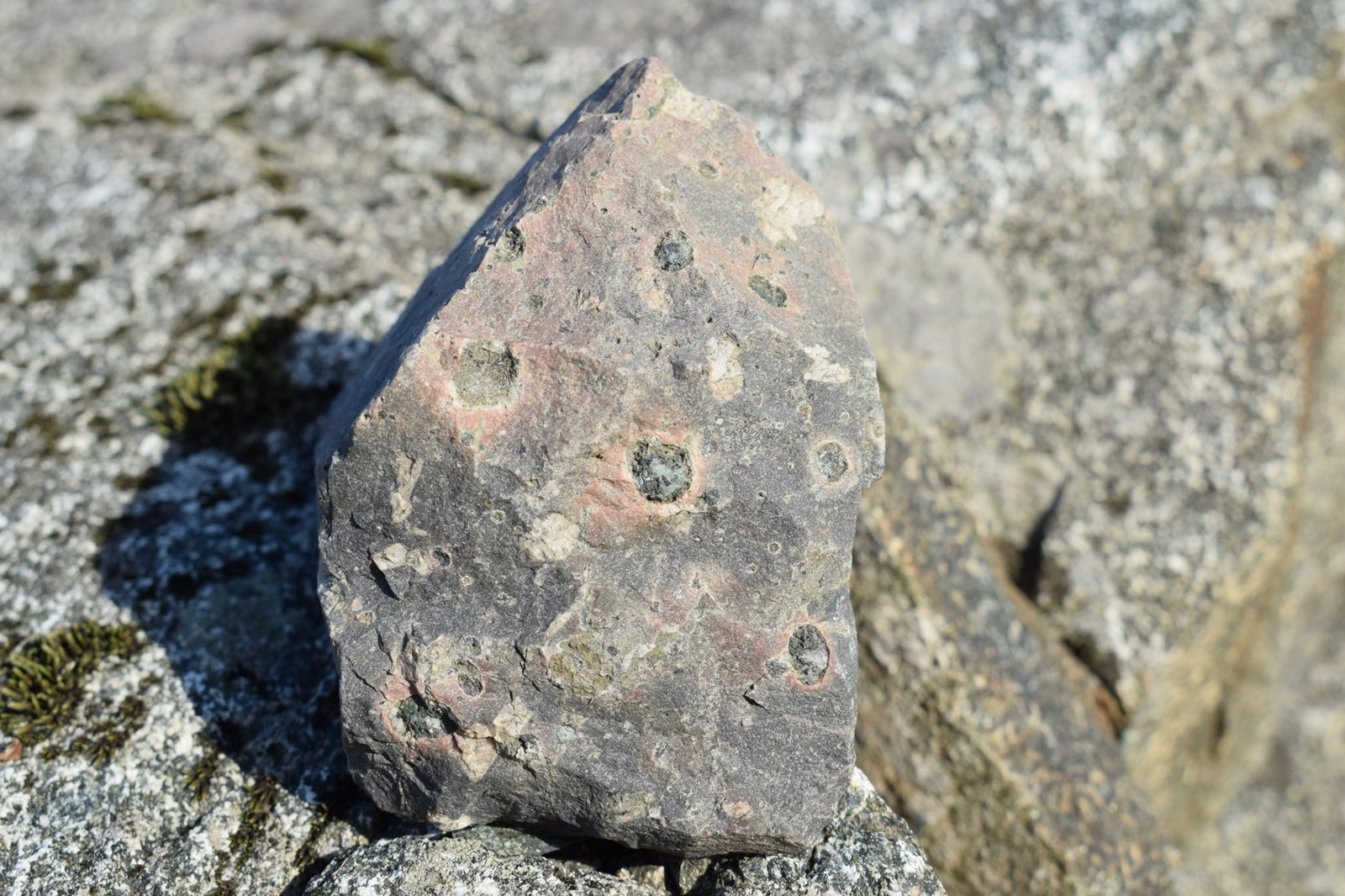 Porphyry with spots of epidote.jpg