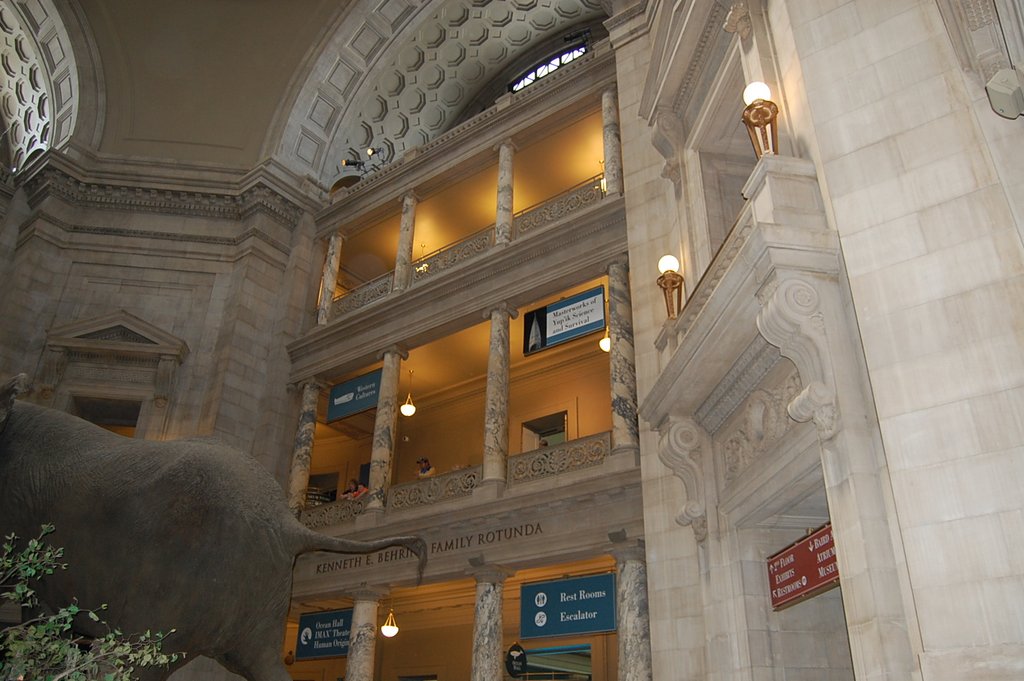 Museum of Natural History (46).J