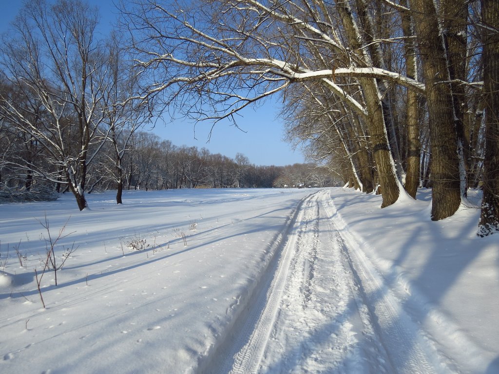 Зима фотоохотника_58.JPG